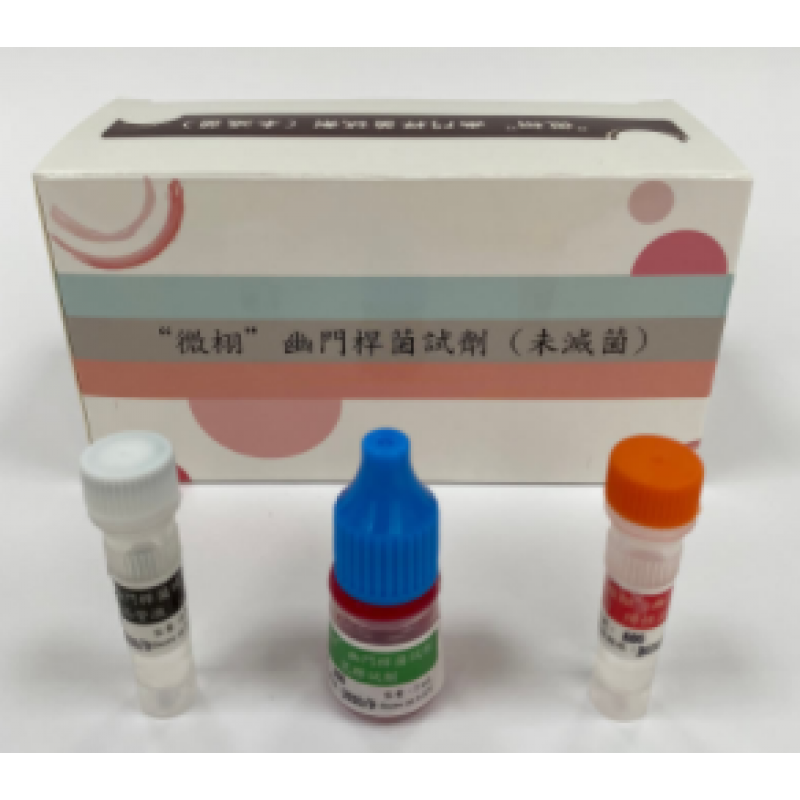 “WISH-IN” H.Pylori Test (Non-sterile)