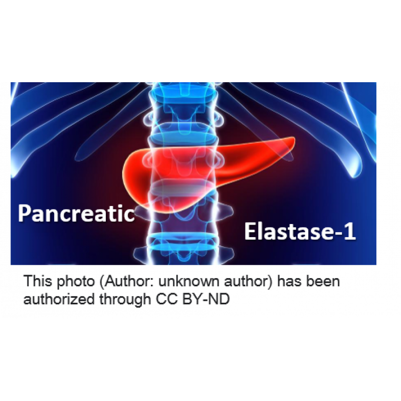 Pancreatic Elastase-1