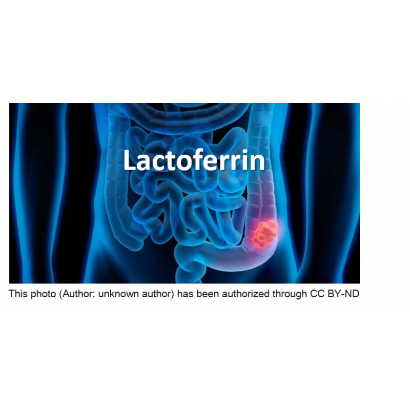 乳鐵蛋白 (Lactoferrin)