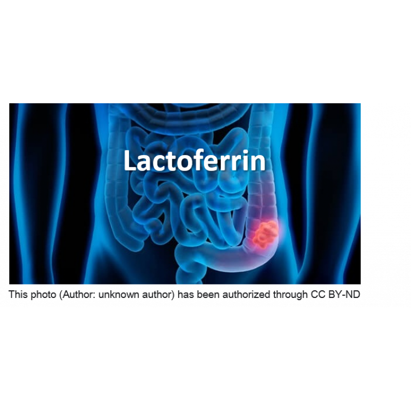 Lactoferrin"/