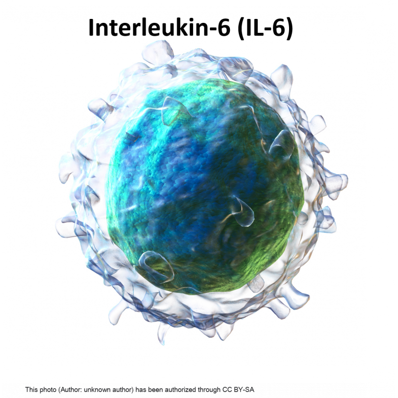 Interleukin-6 (IL-6)