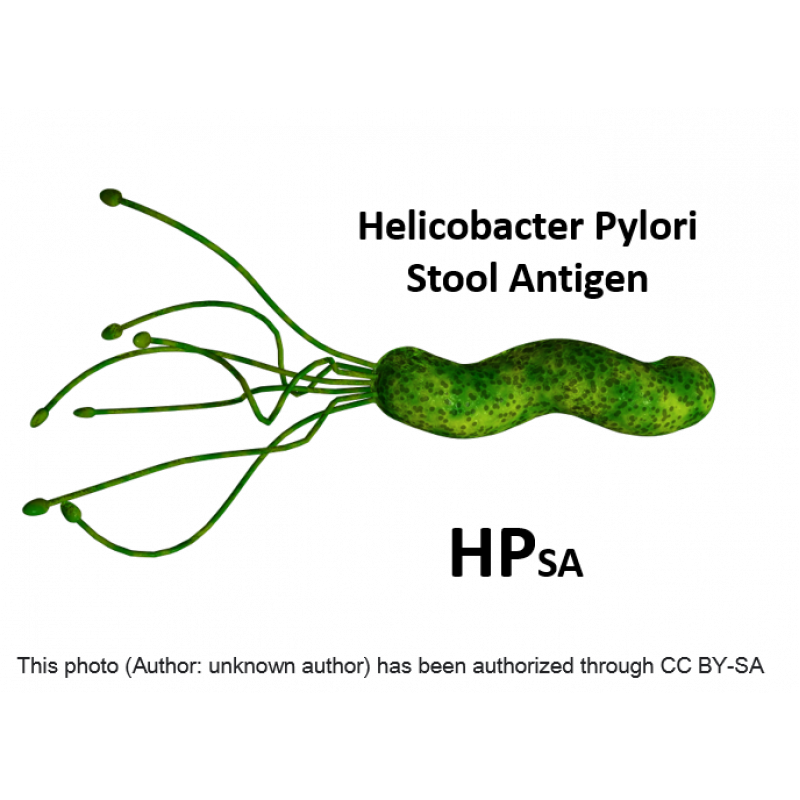 幽門螺旋桿菌糞便抗原試劑 (HP Stool Antigen)